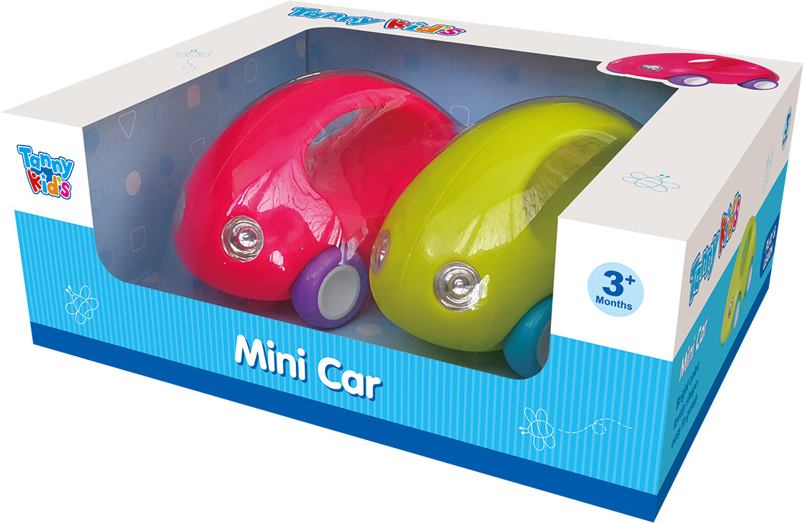 MINI CAR
