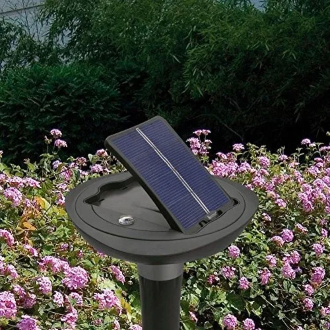 INTEX SOLAR LED LIGHT, Ages Adult