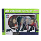 Chapmei 4D Elephant Anatomy model featuring a transparent outer shell showing the internal organs, skeleton, and muscular structure of an elephant.