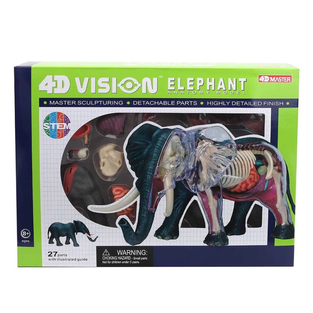 Chapmei 4D Elephant Anatomy model featuring a transparent outer shell showing the internal organs, skeleton, and muscular structure of an elephant.