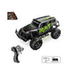 LT RC CARS RC STORM HIGH SPEED 1:10, Ages 6+