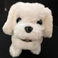 LT CUTE  PET PALS DOG B/O 3 ASSORTMENT, Ages 3+