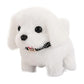 LT CUTE  PET PALS DOG B/O 3 ASSORTMENT, Ages 3+