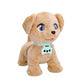IMC TOYS MILO PLAY AND WALK, Ages 18M+