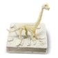 AMAV DINOSAUR TREASURE HUNT, Ages 6+