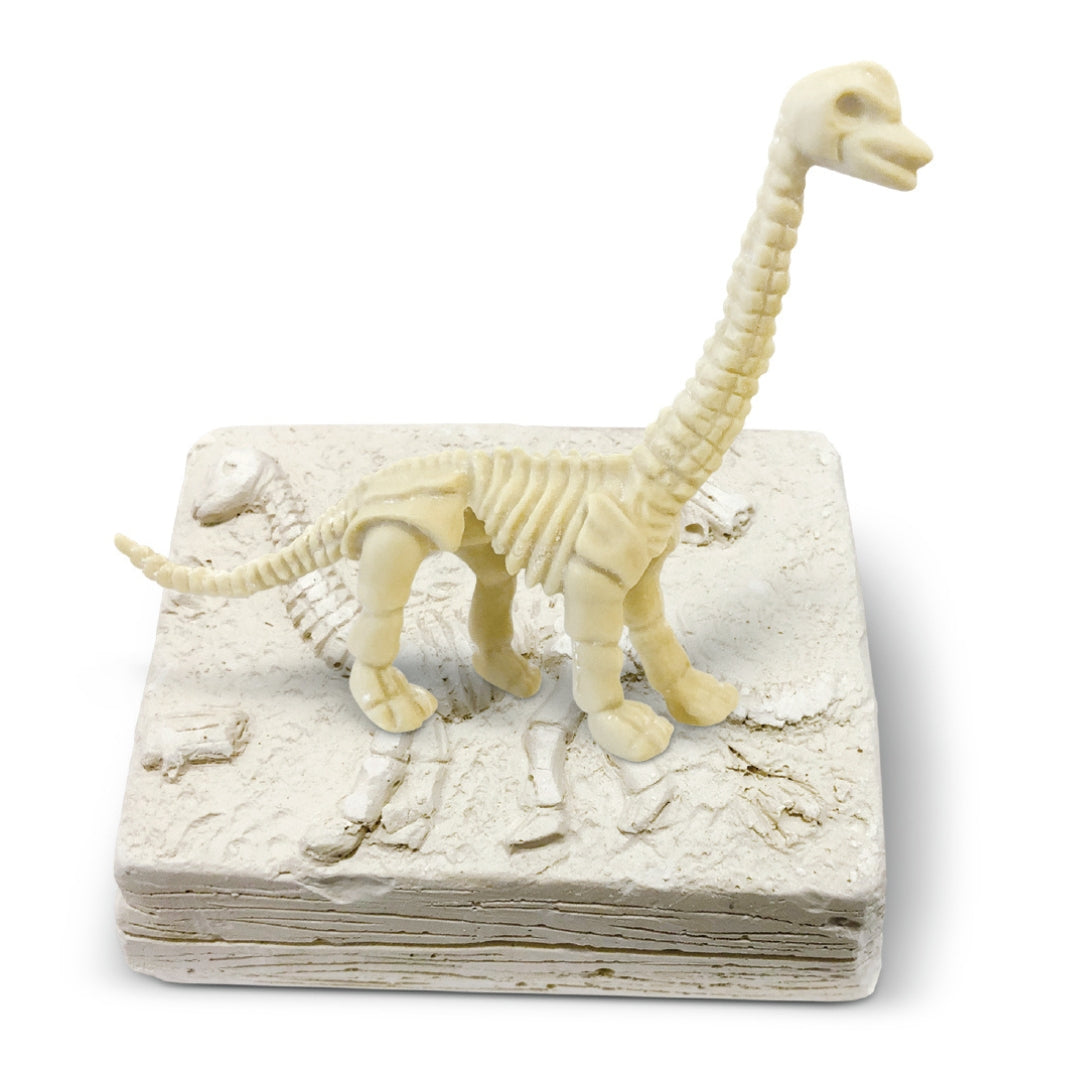 AMAV DINOSAUR TREASURE HUNT, Ages 6+