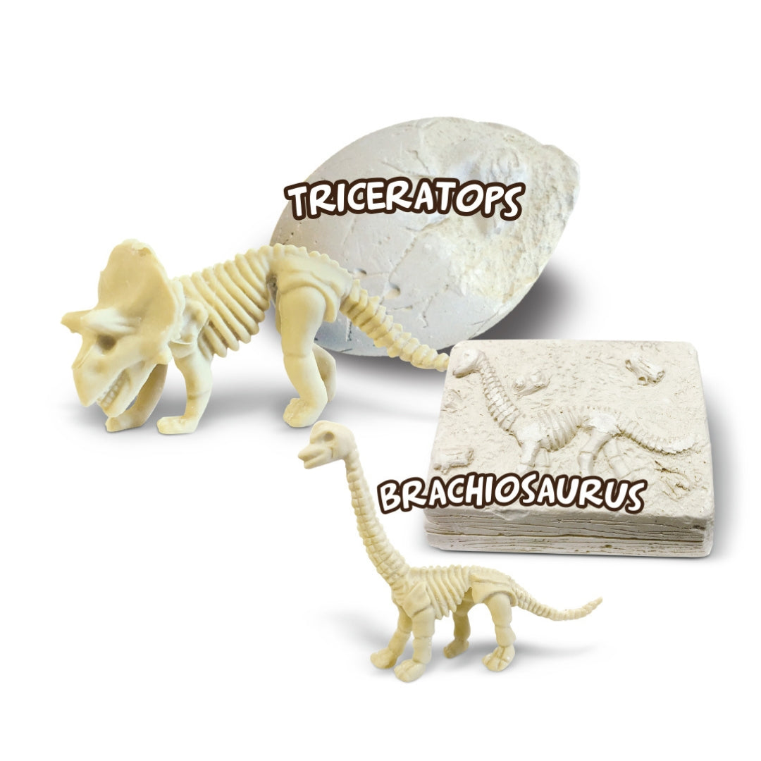 AMAV DINOSAUR TREASURE HUNT, Ages 6+