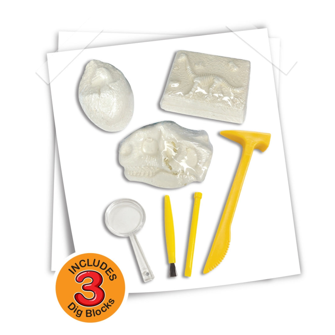 AMAV DINOSAUR TREASURE HUNT, Ages 6+