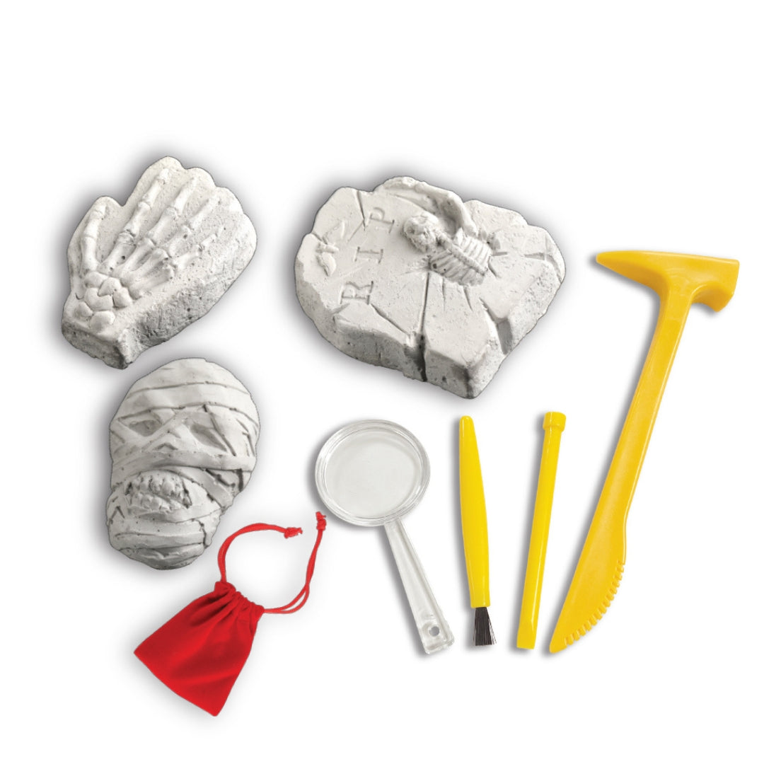 AMAV MUMMY TREASURE HUNT,Ages 6+