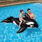INTEX WHALE RIDE, Ages 3+